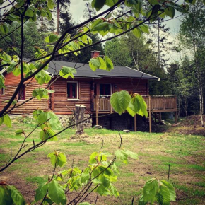 Nice log house near lake and forest in Vittsjö in Vittsjö